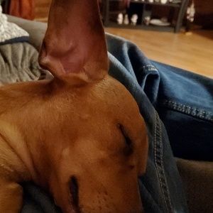 Meet your Posher, Travis